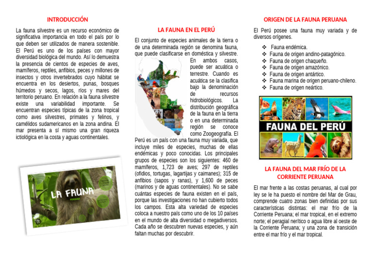 Trip Tico | PDF | Fauna | Perú
