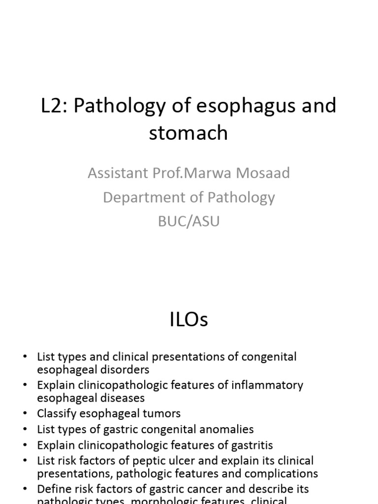L2 Esophagus and Stomach | PDF | Esophagus | Gastroesophageal Reflux ...