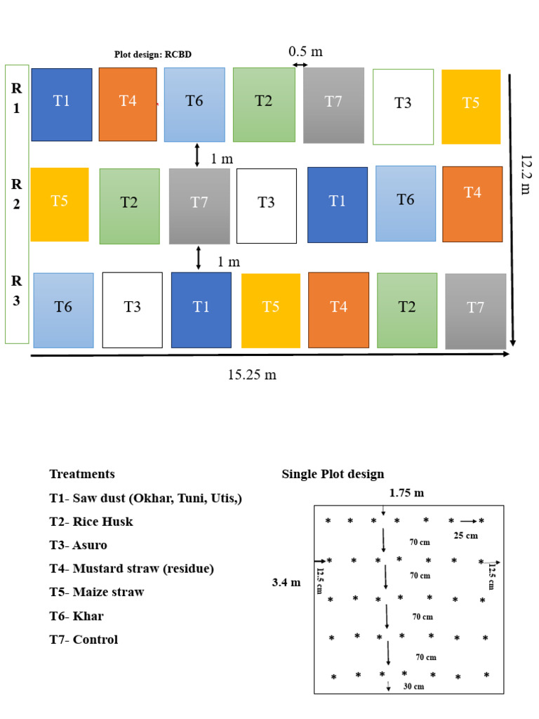 Revised Plot Design 1 | PDF