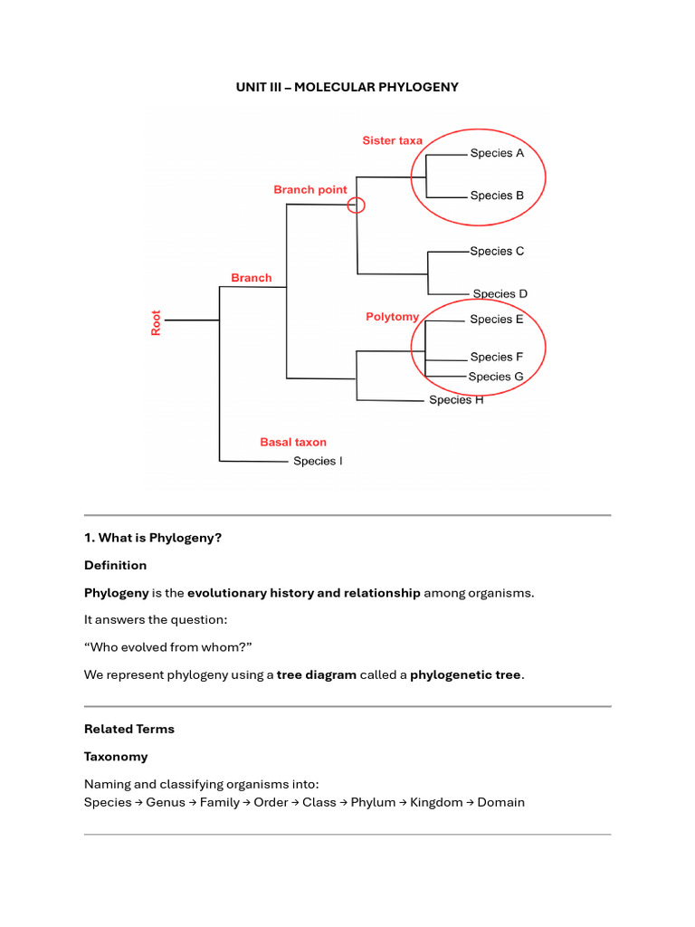 Bioinformatics UNIT III | PDF | Phylogenetic Tree | Taxonomy (Biology)
