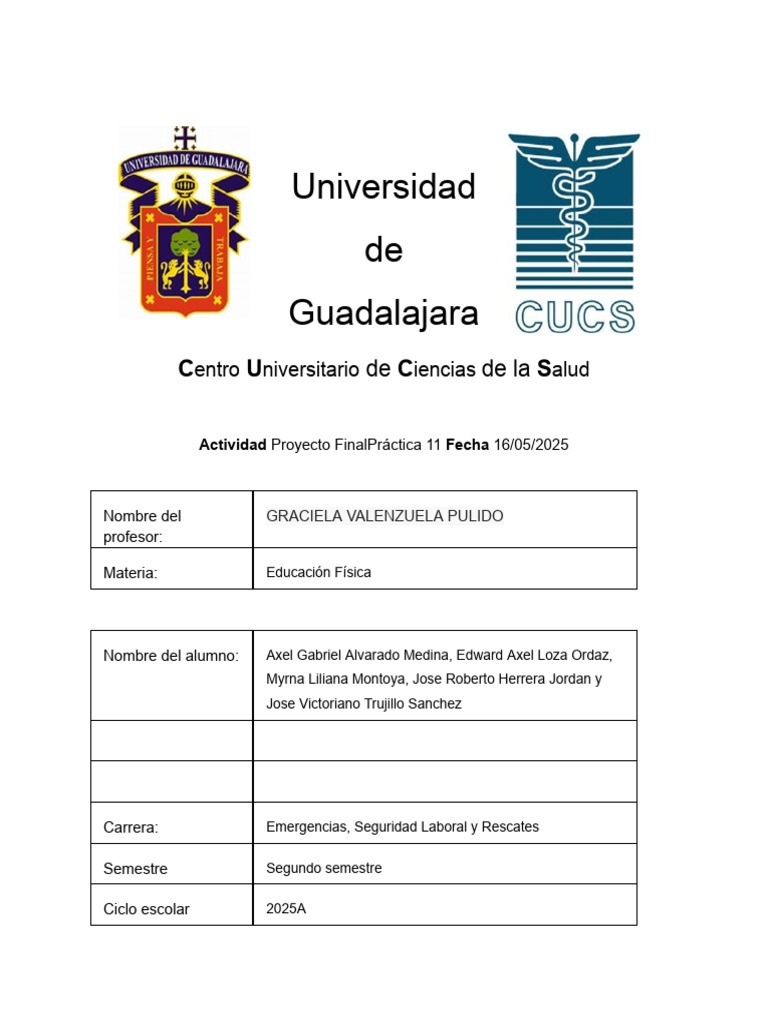 Proyecto Final | PDF