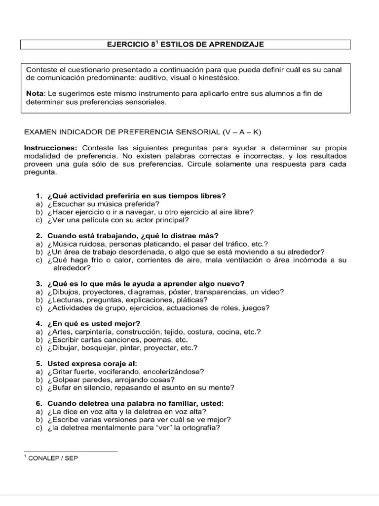 Test Estilos de Aprendizajes | PDF