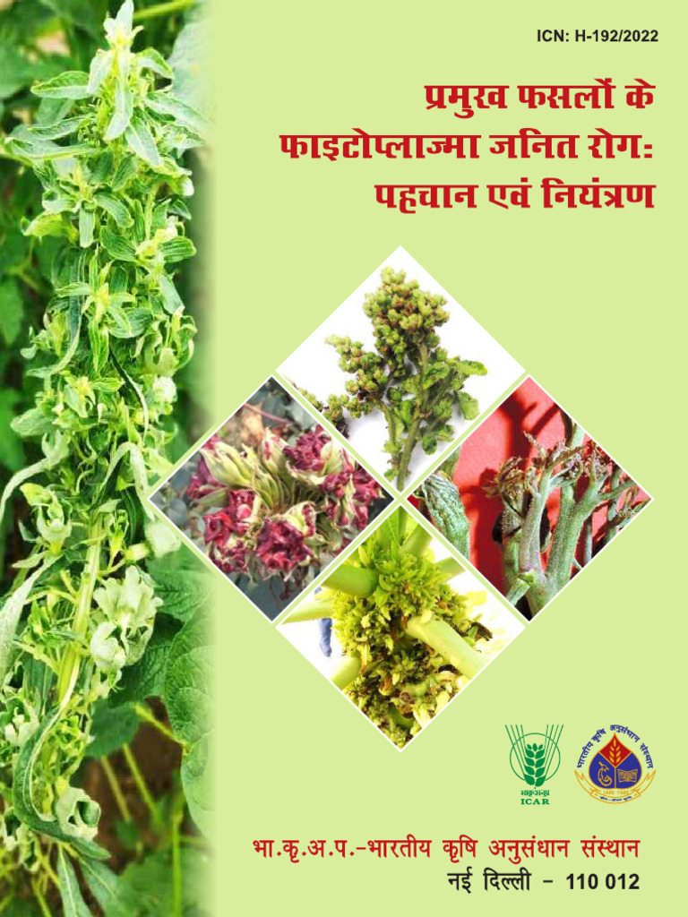 Hindi Bulletin Pramukh Faslon Ke Phytoplasma Janit Rog 25012023 | PDF