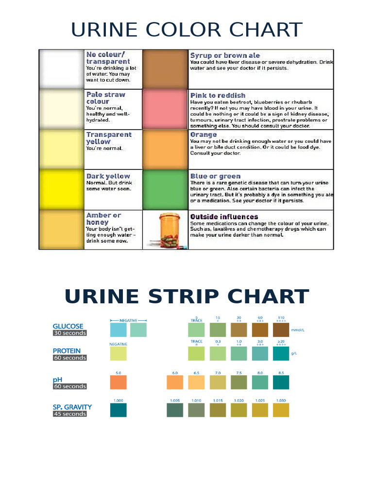 Urine Color Chart | PDF