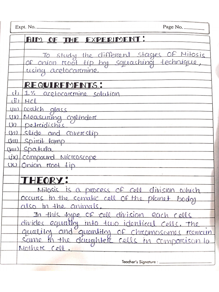 Practical Record | PDF