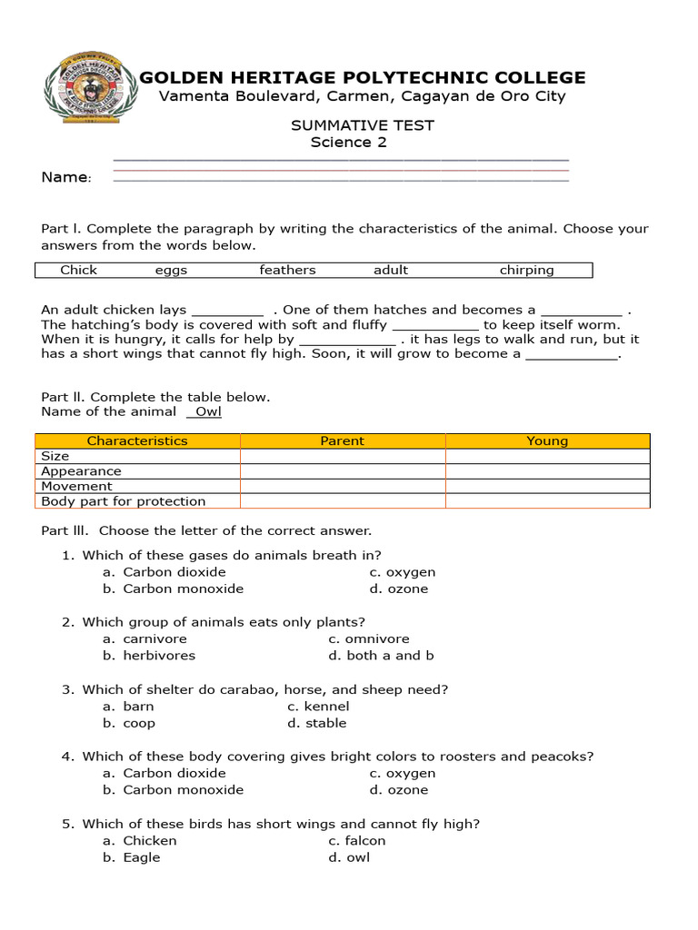 Summative Test For February 28 | PDF