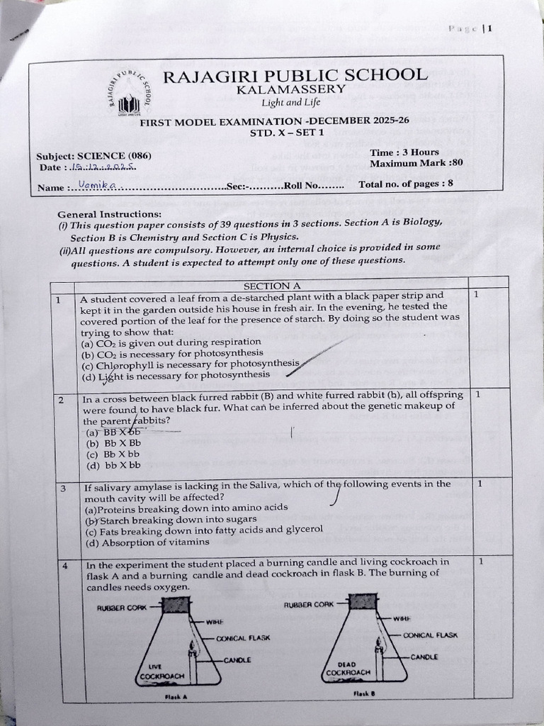 Science Modal - 1 | PDF