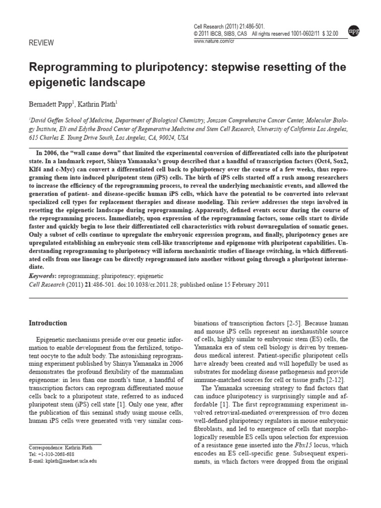 Reprogramming To Pluripotency | PDF | Cell Potency | Cellular ...