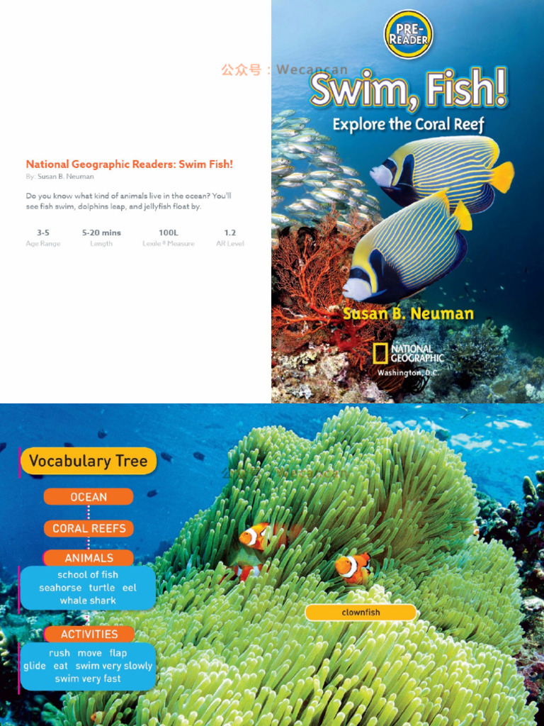 02 Swim Fish | PDF