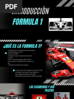 Vocabulario Esencial de Fórmula 1 | PDF | Formula Uno | Idioma en Inglés