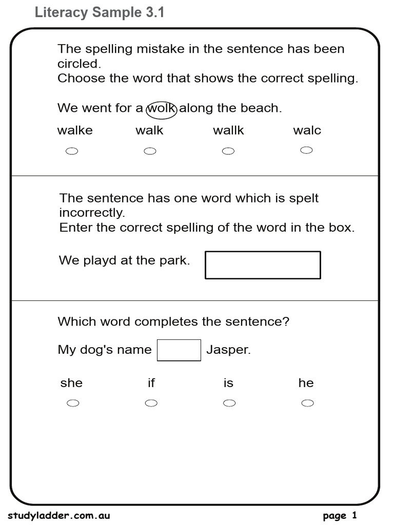 Studyladder Literacy Sample+1 | PDF