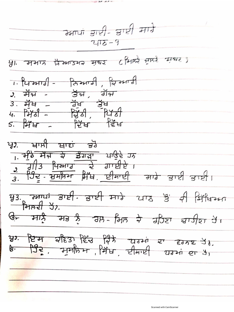 Class IV, Punjabi (Ch-9) Worksheet | PDF