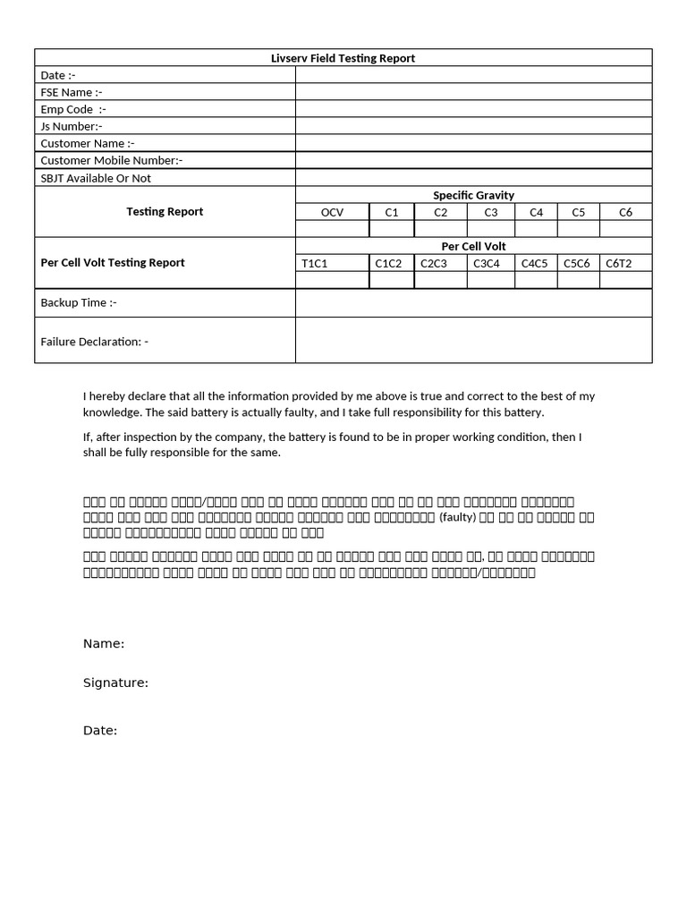 LivservTesting Report Format-1 | PDF