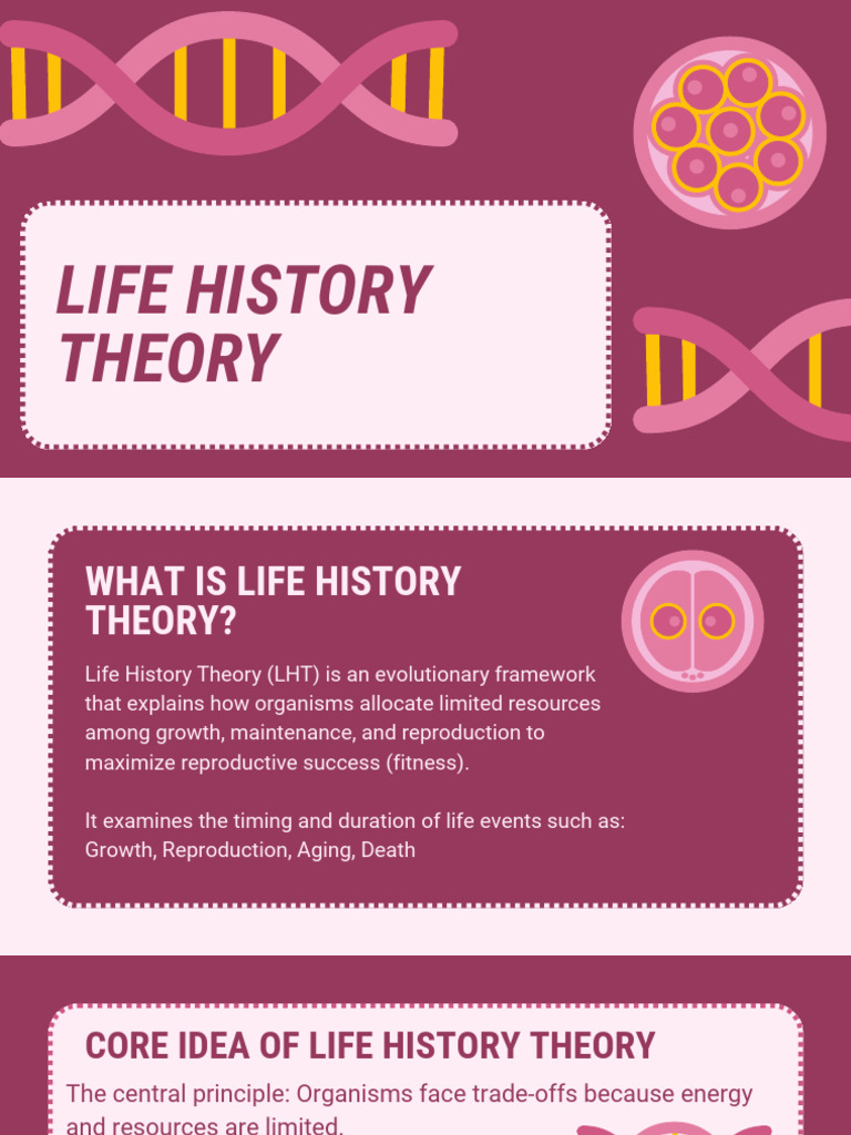 Jessica-Calibuso-Human-Rep 20260222 213508 0000 | PDF | Biology | Human ...
