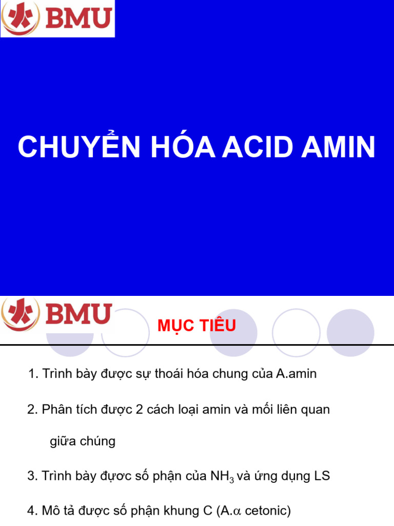 Giáo trình Đại Học BMTU | PDF