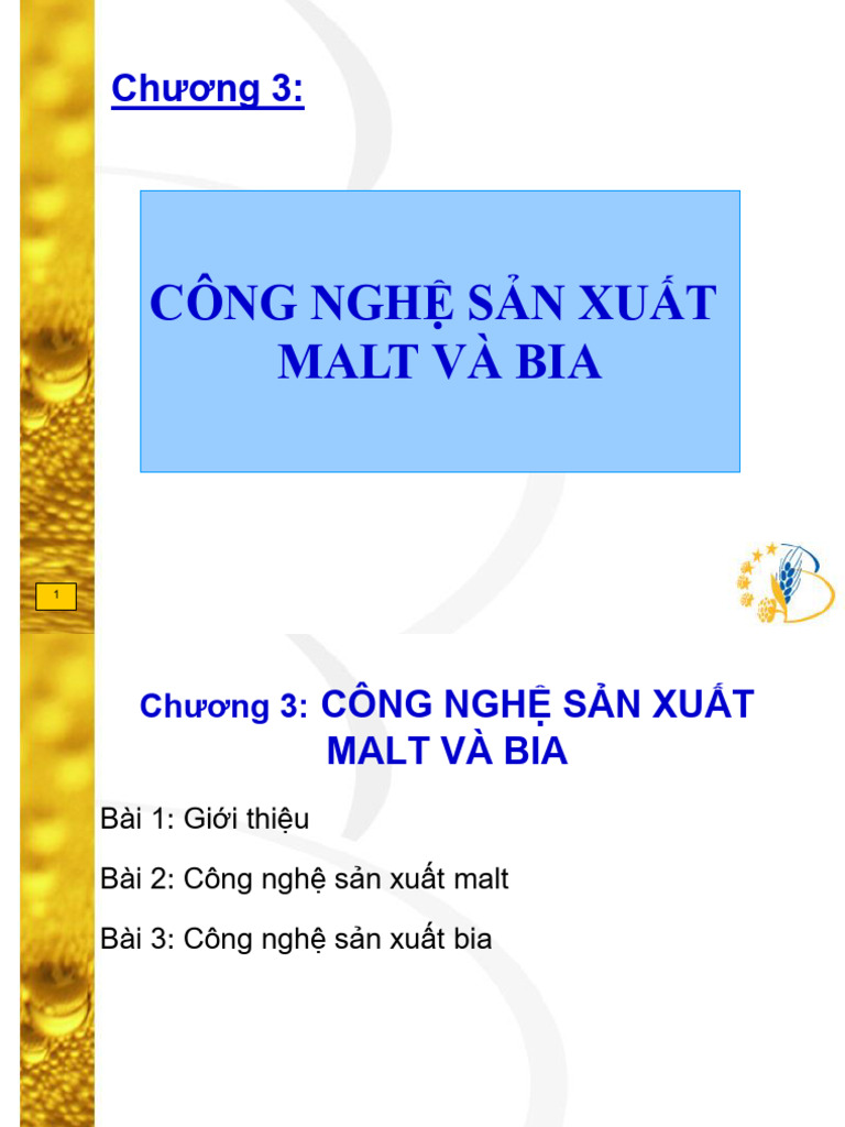 Bai 1 - Gioi Thieu Bia | PDF