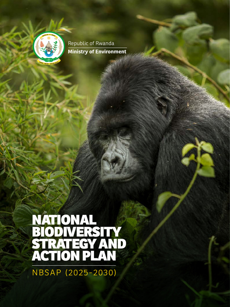 Rwanda National Biodiversity Strategy and Action Plan Nbsap 2025 | PDF ...