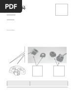 silent -ディレクターズカット版-Blu-ray BOX 1772100194?v=1