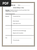 3rd Grade - Animal Classification Worksheet