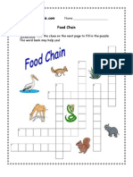 3rd Grade - Food Chain Worksheet