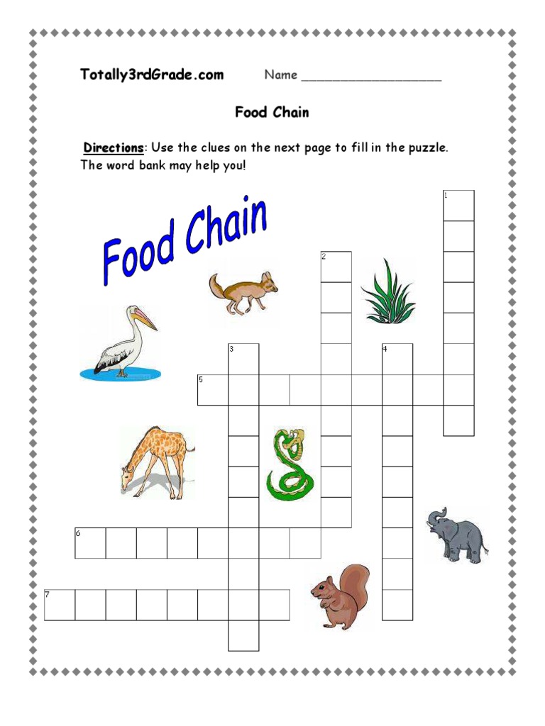 10rd Grade - Food Chain Worksheet  PDF Inside Food Chain Worksheet Pdf