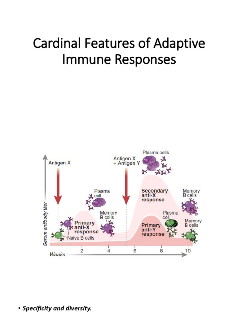 Cardinal Features of Adaptive Immune Responses | PDF