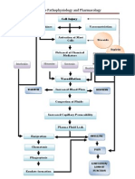 Patho Inflammation