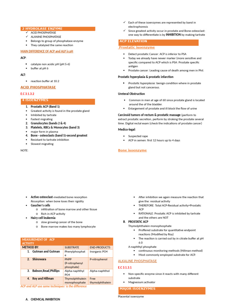 2 Hydrolase Enzyme | PDF | Prostate | Liver