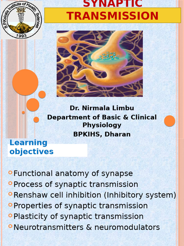 9.synaptic Transmission | PDF | Chemical Synapse | Synapse