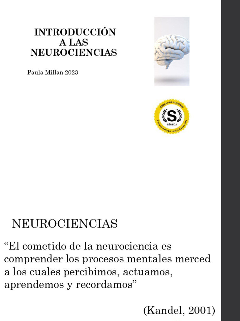 03 - Introducción A Las Neurociencias (Paula Millan) | PDF | Neurona ...