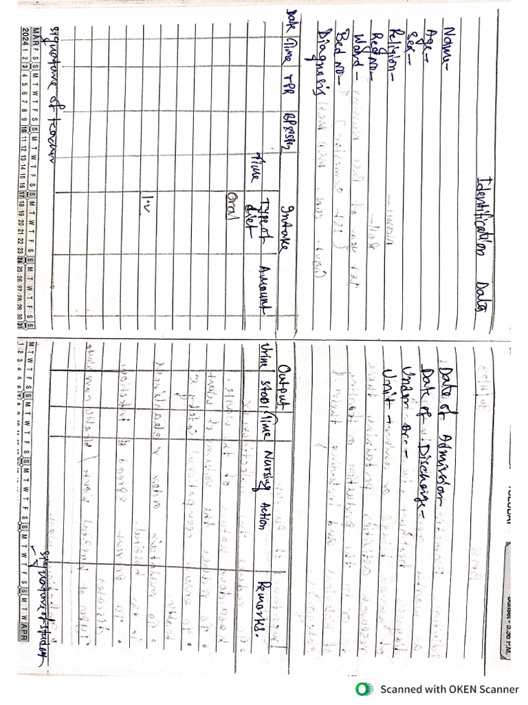 Daily Diary Format | PDF
