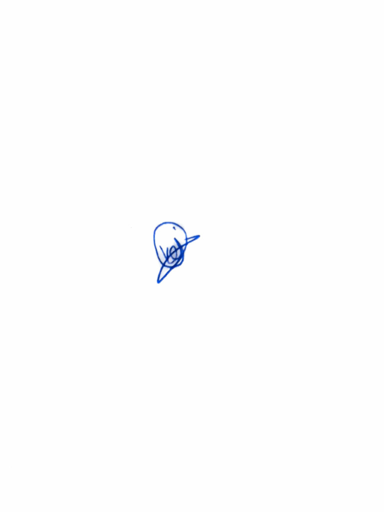 Yash Scanned Sign | PDF