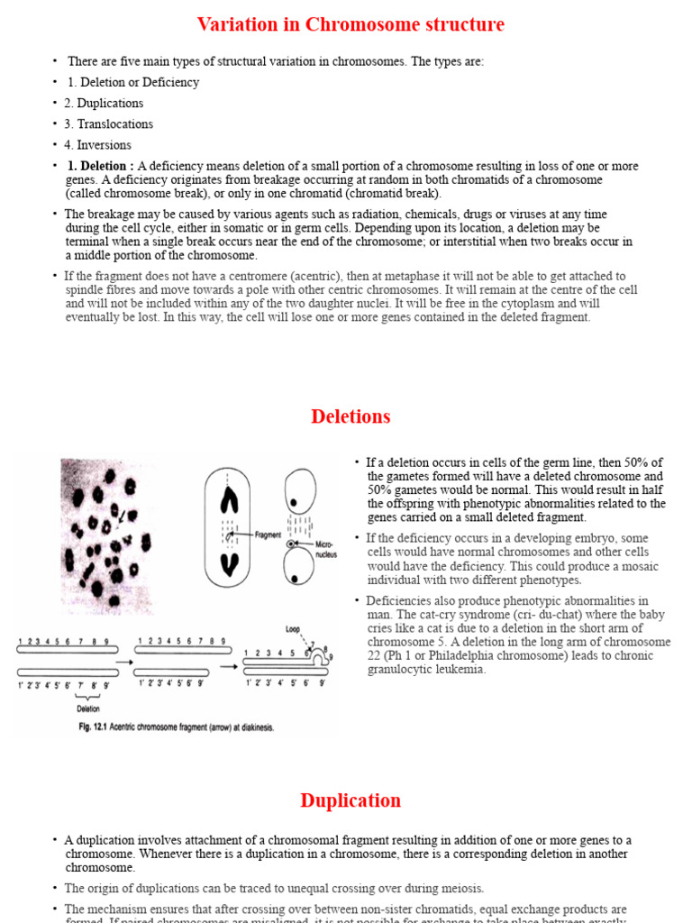 Variation in Chromosome Structure 2 | PDF | Biological Processes | Biology