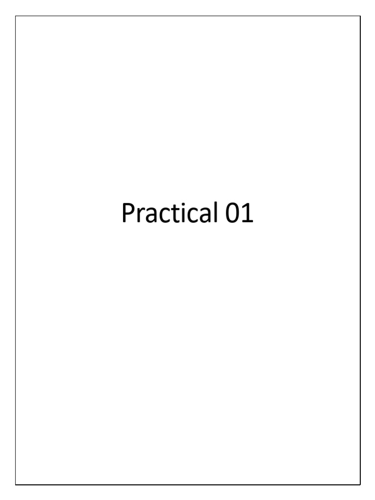 Practical No Print | PDF