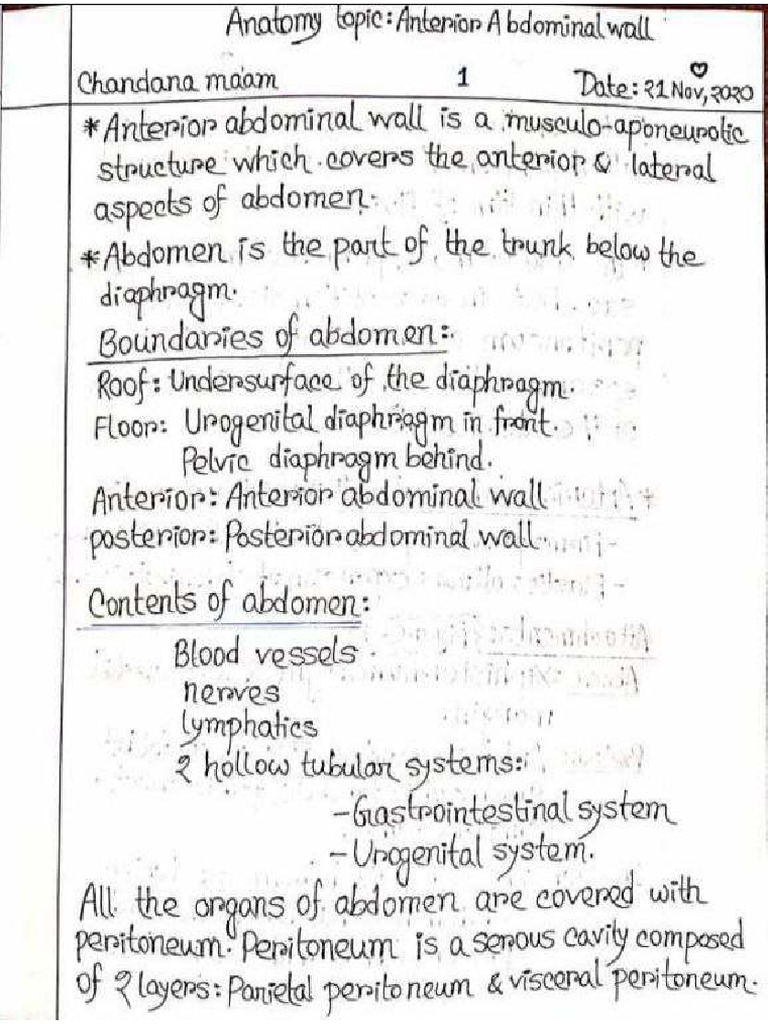 Anterior Abdominal Wall | PDF