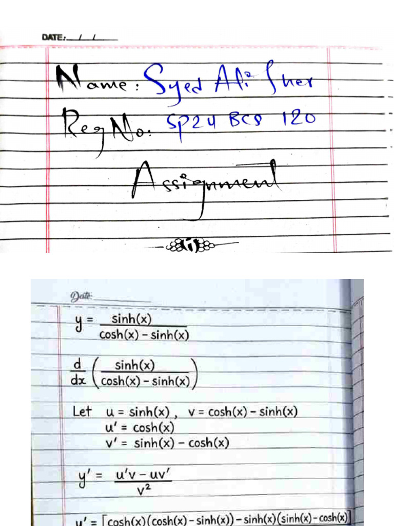 Calculus Assignment 4 | PDF