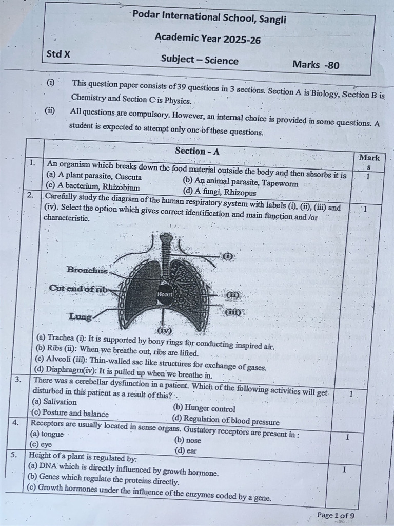 Science Sample Paper | PDF | Electricity | Physical Chemistry
