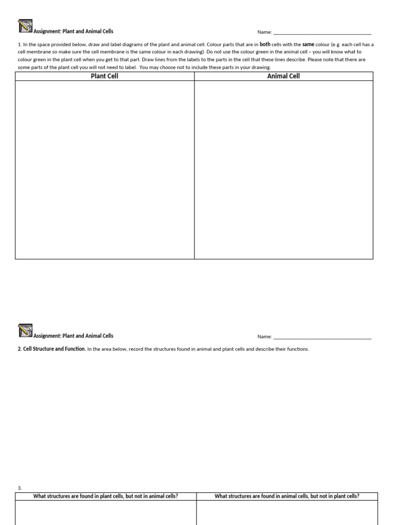 Assignment 3 Plant and Animal Cells | PDF