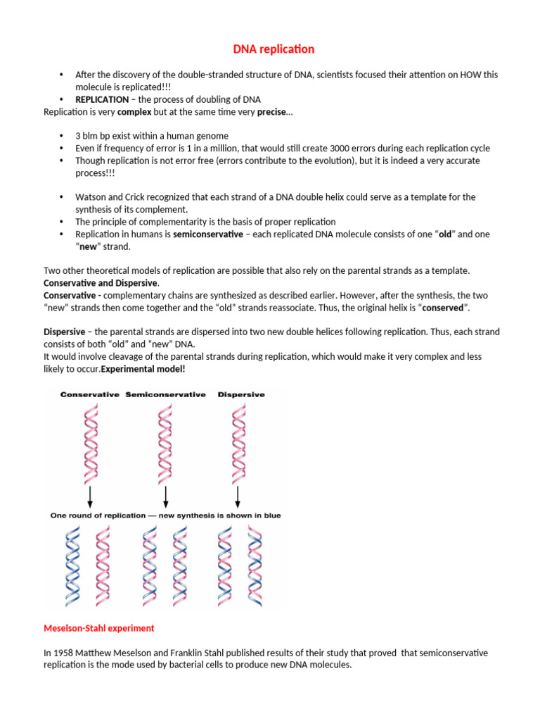 3 Lecture-DNA Replication | PDF | Dna Replication | Primer (Molecular ...