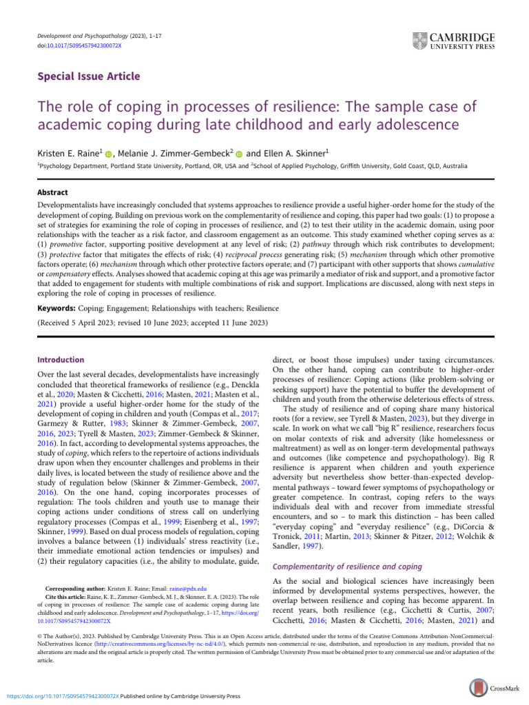 The Role of Coping in Processes of Resilience The | PDF | Psychological ...