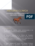 Historia Clinica Equino