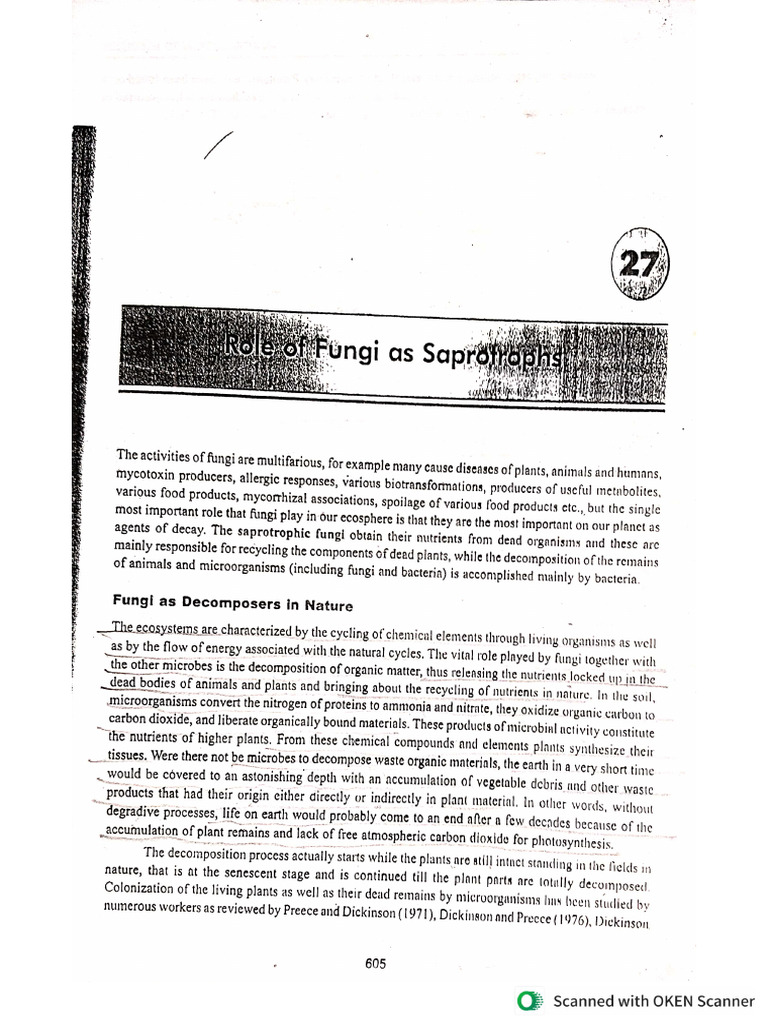 Litter Decomposition | PDF