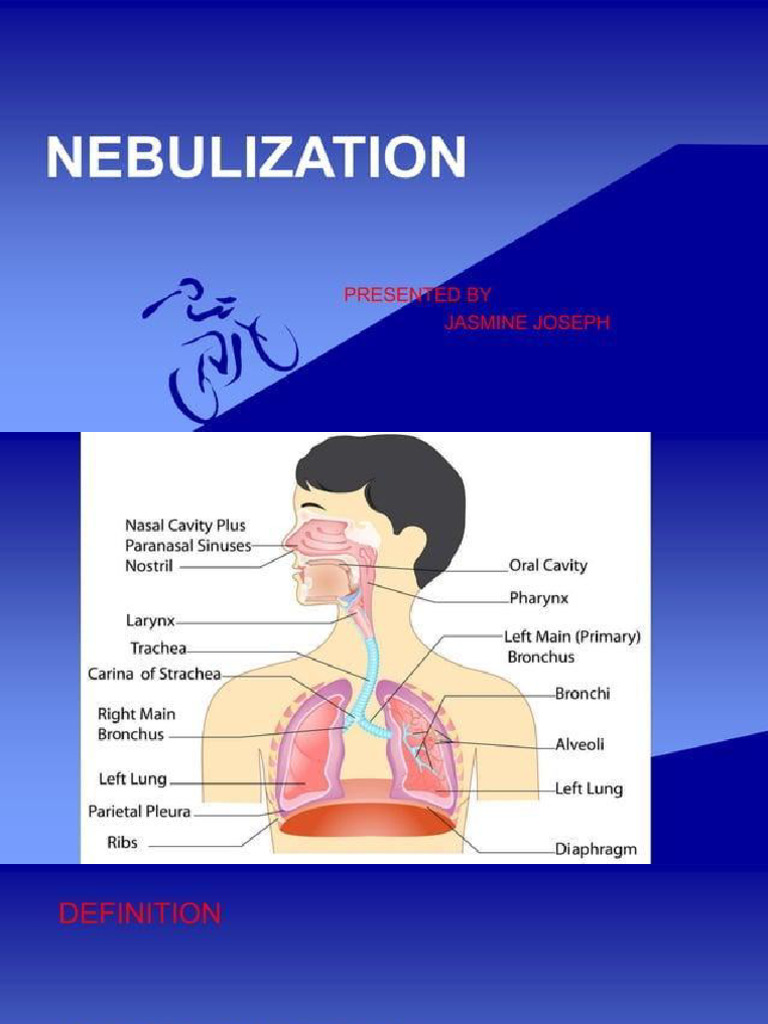 Neb Ul Ization | PDF