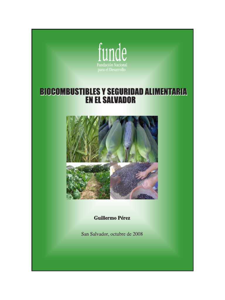 Funde Estudio Biocombustibles(Gperez) | PDF | Biocombustible ...