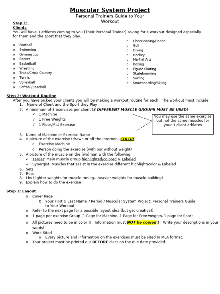 10 Muscularsystemproject | PDF | Strength Training