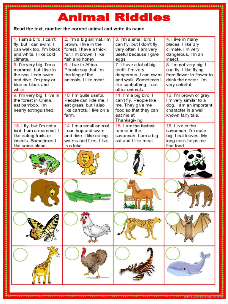 Animal Riddles | PDF
