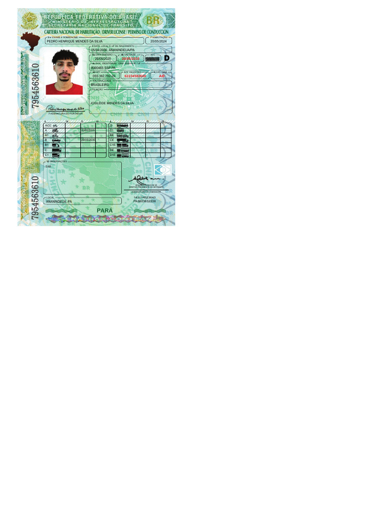 CNH Nova Pa (19.02.2026) - Pedro - Impresso 3 | PDF | Transporte ...