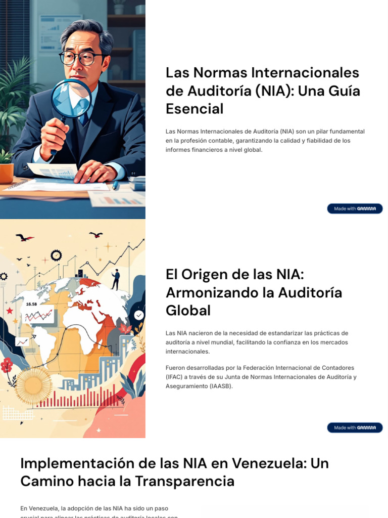 Las Normas Internacionales de Auditoria NIA Una Guia Esencial | PDF ...