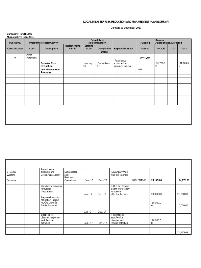 Local Disaster Risk Reduction and Management Plan Don Luis | PDF ...