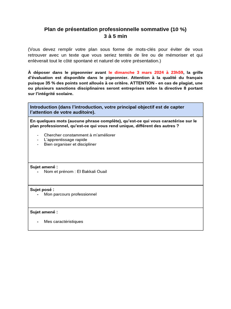 Plan de Présentation Professionnelle Sommative-3 | PDF